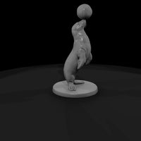 cir-119-animal-balancing-seal — thumbnail 3