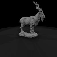 ant-280-markhor-male — thumbnail 3