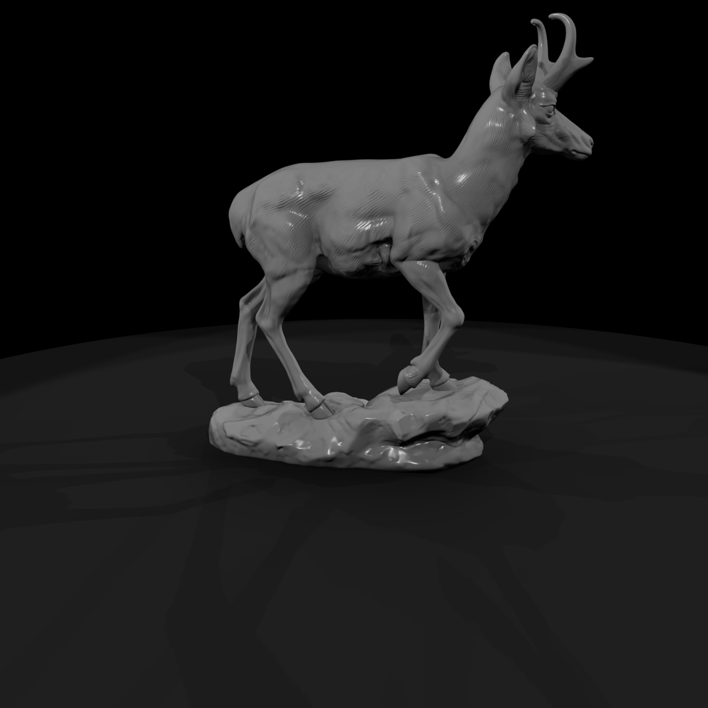 Ww 0315 Animal Pronghorn