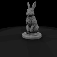 anim-24-rabbit-2f9bef — thumbnail 4