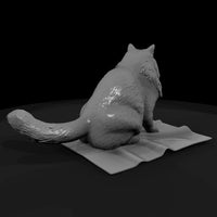 a-collection-of-housecats-fluffy-7cd962ec-meshref — thumbnail 3