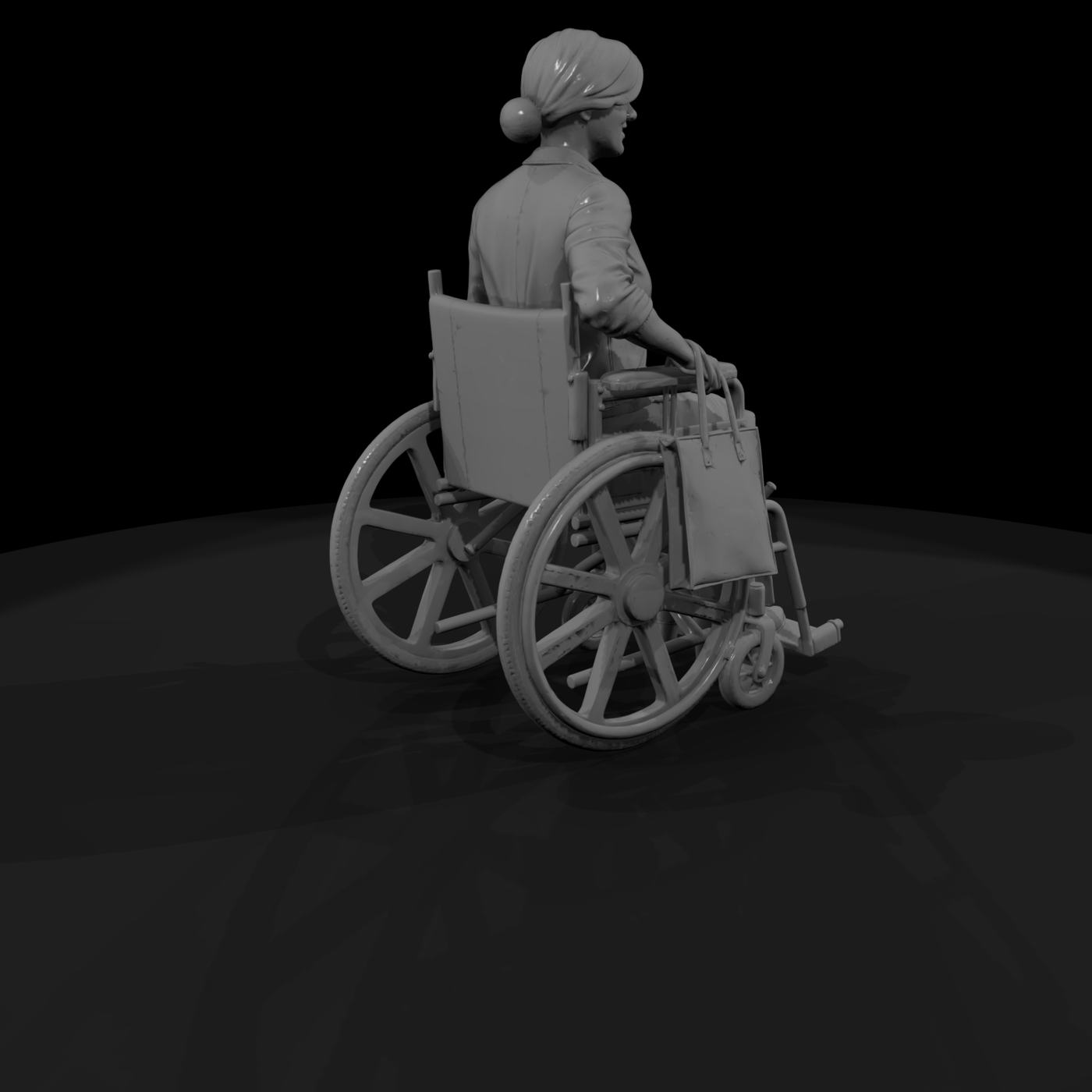 Woman Seated in a Wheelchair