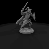 fadv-01-human-fighter-3e0217 — thumbnail 3