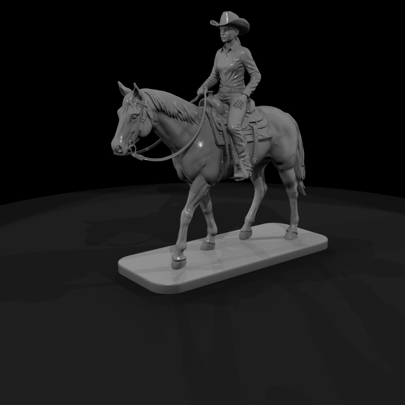 horse-09-teen-western-pleasure-09116b