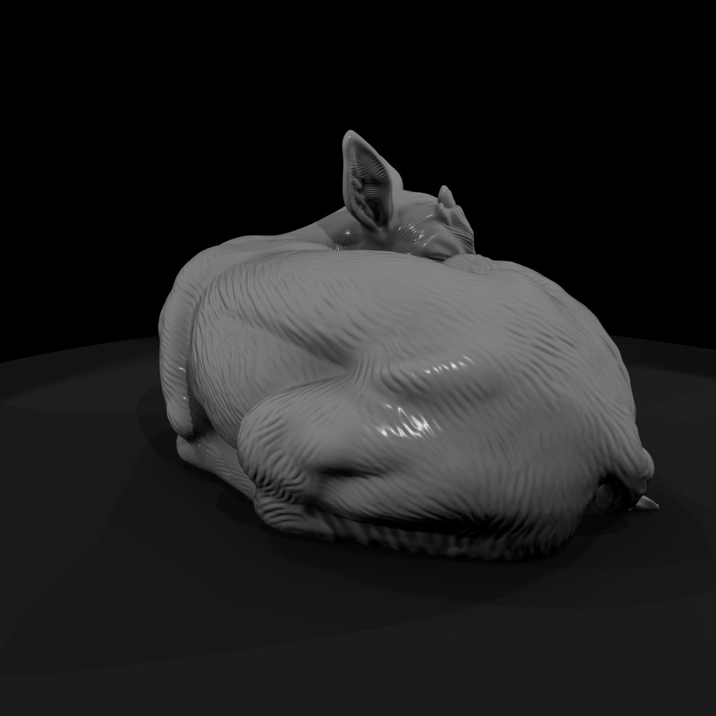 ant-237-thomson-s-gazelle-adolescent