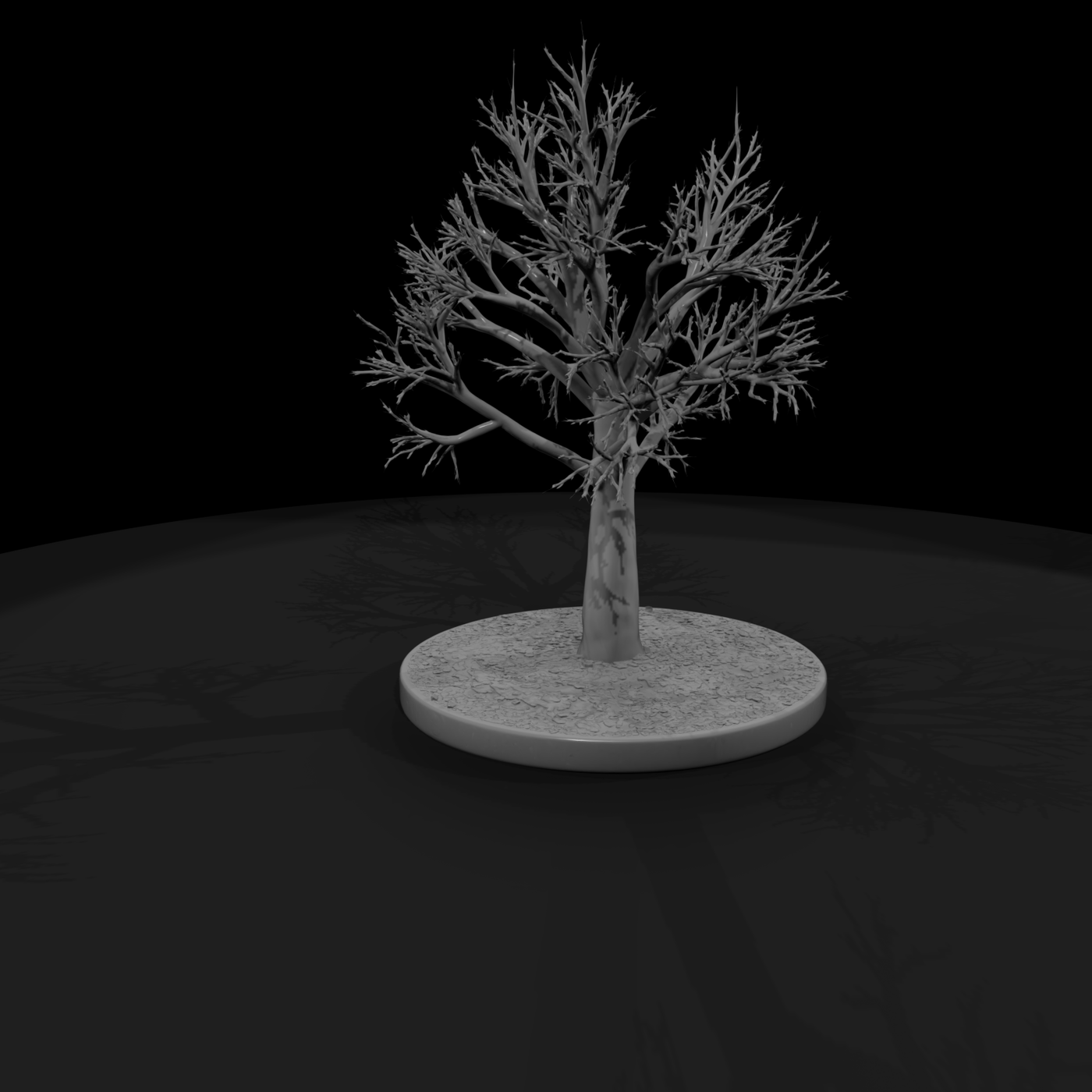 Bare Winter Tree – Stylized Leafless Tree on Round B