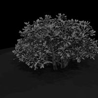 low-poly-dense-garden-shrub-ho-scale-1-87-561667 — thumbnail 3