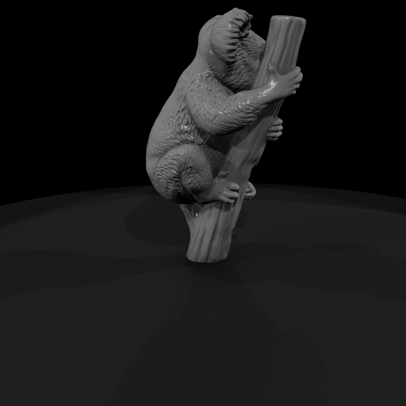 Koala Climbing a Branch