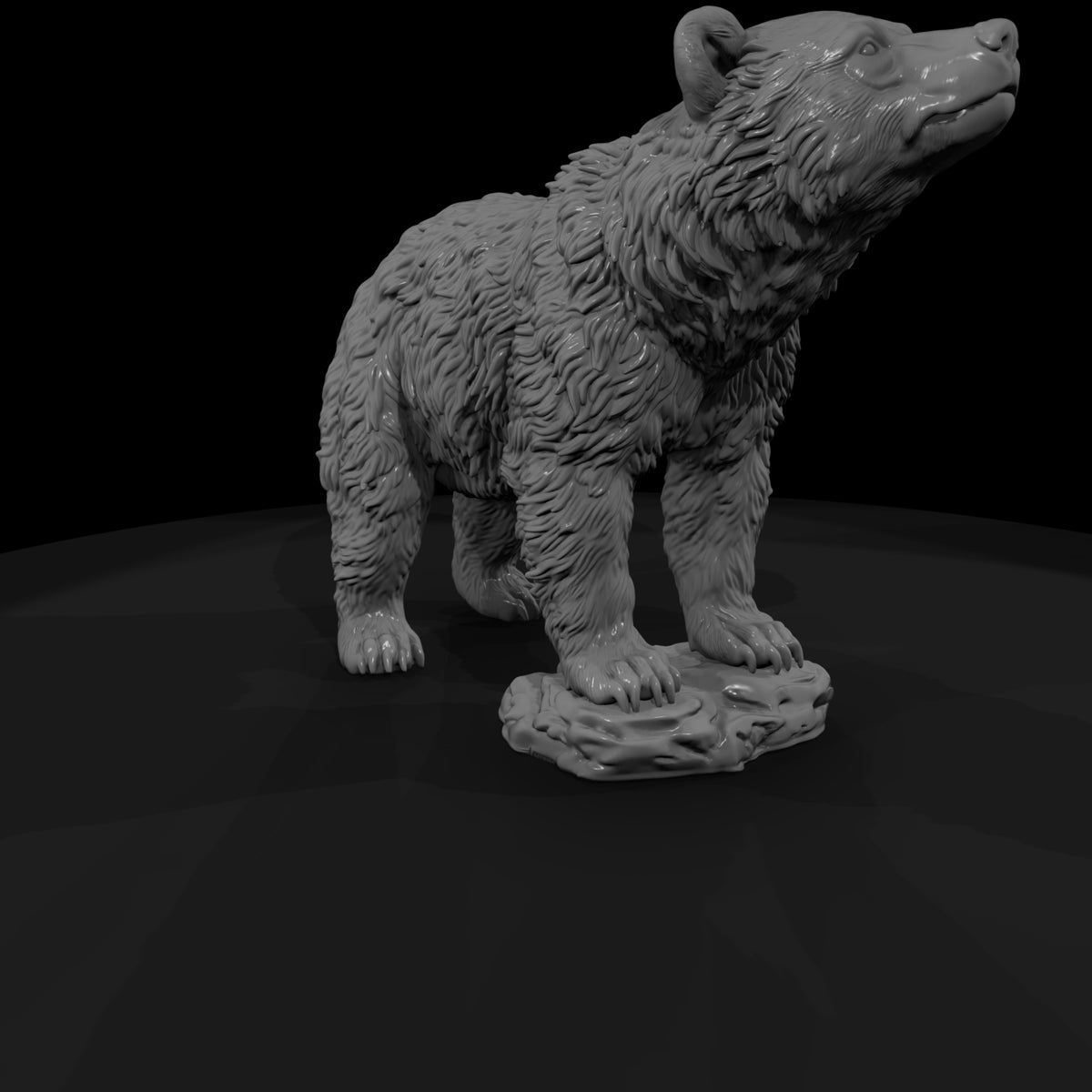 ant-021-grizzly-bear-adolescent