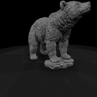 ant-021-grizzly-bear-adolescent — thumbnail 3