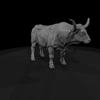 ww-0296-animal-longhorn-bull — thumbnail 3