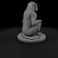ant-197-olive-baboon-female — thumbnail 3