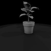stylized-monochrome-potted-fiddle-leaf-fig-socjkaw — thumbnail 3
