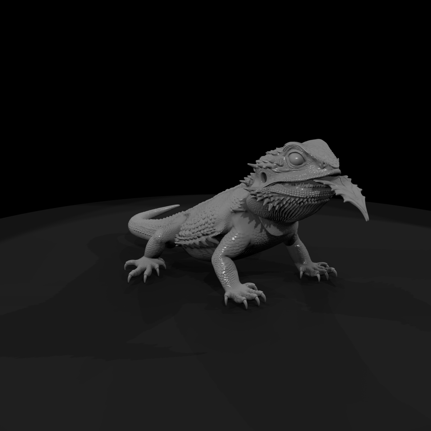 Bearded Dragon