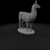ant-217-llama-male — thumbnail 3