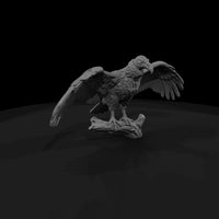 ww-0344-animal-turkey-vulture — thumbnail 3
