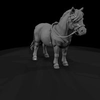 cir-132-animal-miniature-pony — thumbnail 3