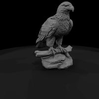 ant-112-bald-eagle-male — thumbnail 3