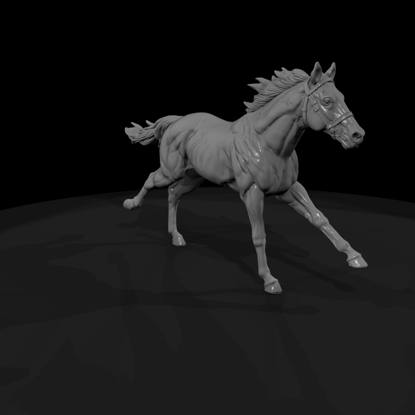 Ww 0286 Animal Galloping Horse