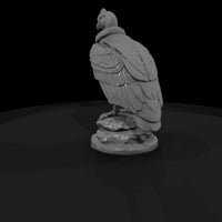 ant-295-andean-condor-male — thumbnail 3