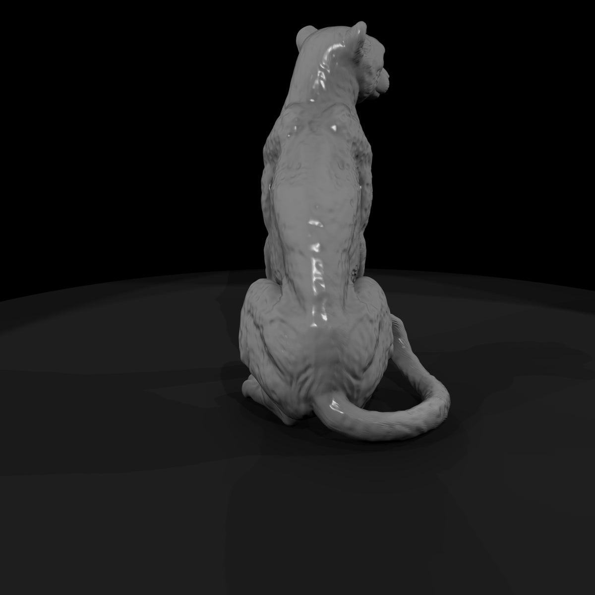 ant-011-cheetah-female