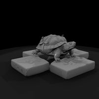 stylized-box-tortoise-3d-model-c5aktigk-67a07e — thumbnail 3
