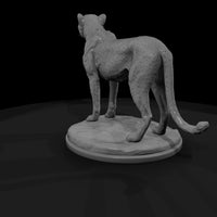 ant-010-cheetah-male — thumbnail 3
