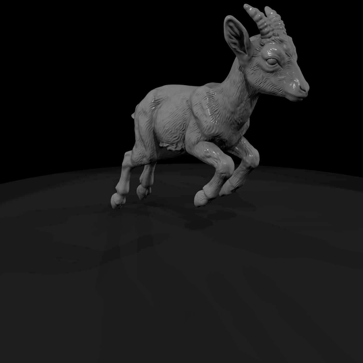ant-282-markhor-adolescent