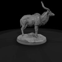 ant-244-nyala-male — thumbnail 3