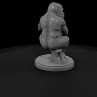 ant-039-western-gorilla-adolescent — thumbnail 3