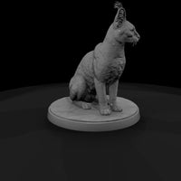 ant-164-caracal-female — thumbnail 3