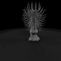 terror-from-the-deep-coral — thumbnail 5