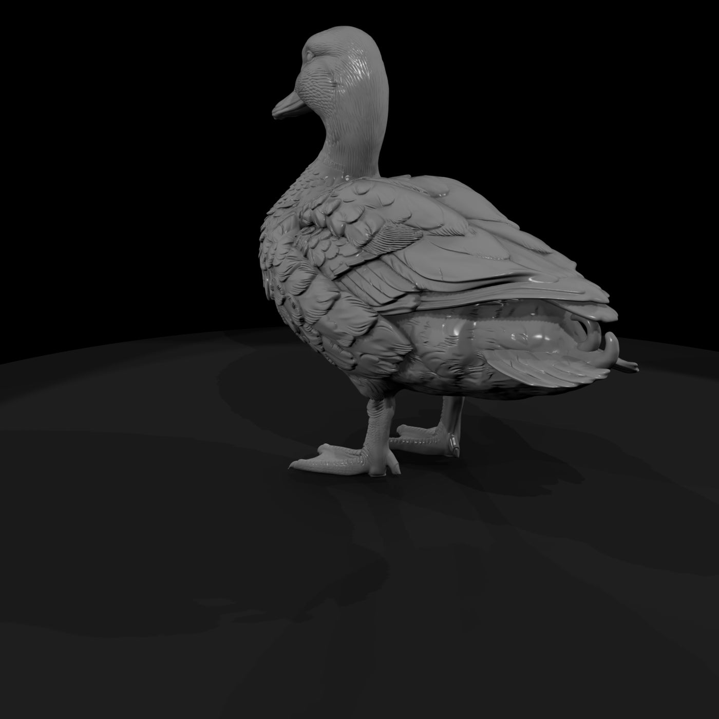 ant-088-mallard-male