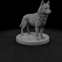 anim-06-siberian-husky-3ba202 — thumbnail 4
