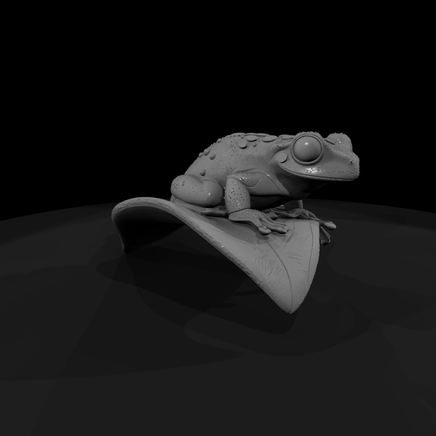 Realistic Tree Frog on Leaf — & Display