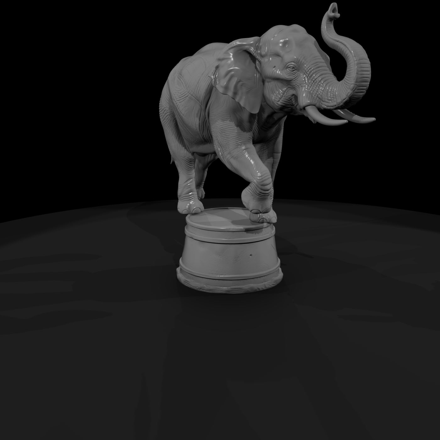 cir-111-animal-circus-elephant-on-tub