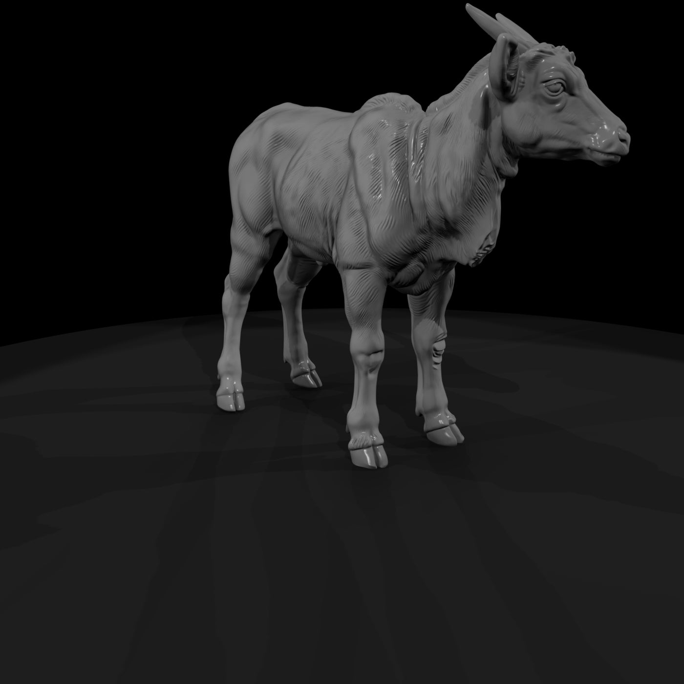 ant-243-eland-adolescent