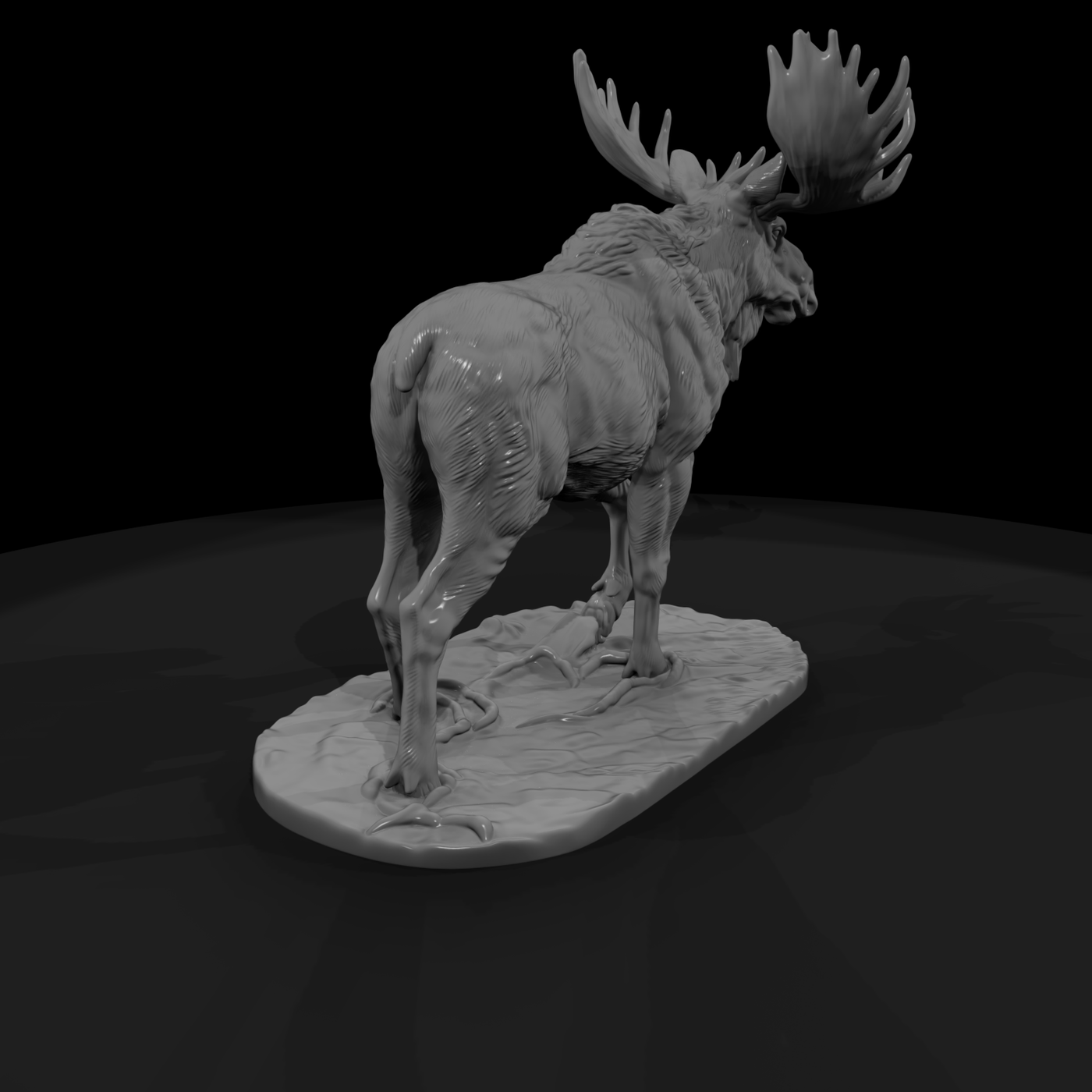 Ant 046 Moose Male