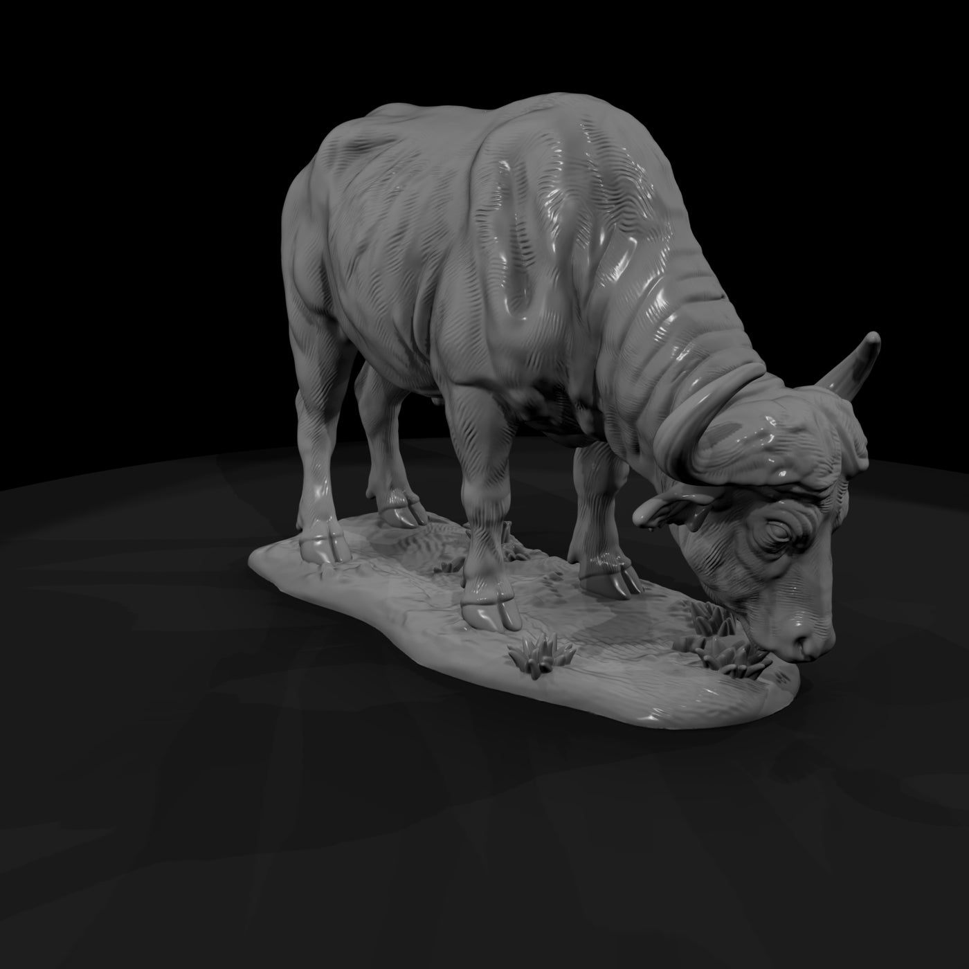 ant-224-cape-buffalo-female
