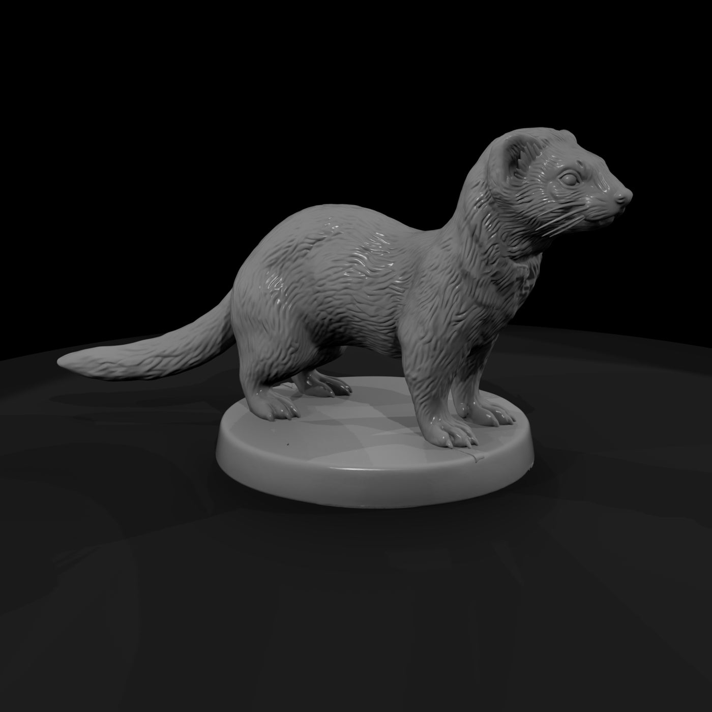 anim-28-ferret-5c2cc8