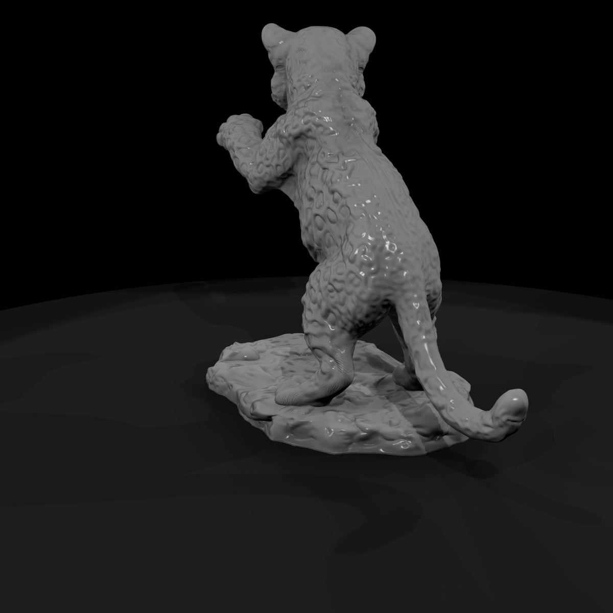 ant-009-leopard-adolescent