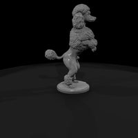 cir-118-animal-poodle-act — thumbnail 3