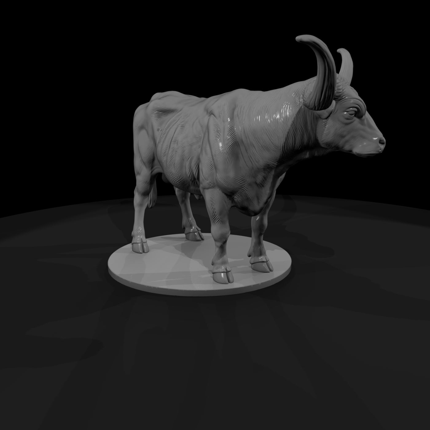 ww-0294-animal-texas-longhorn-steer
