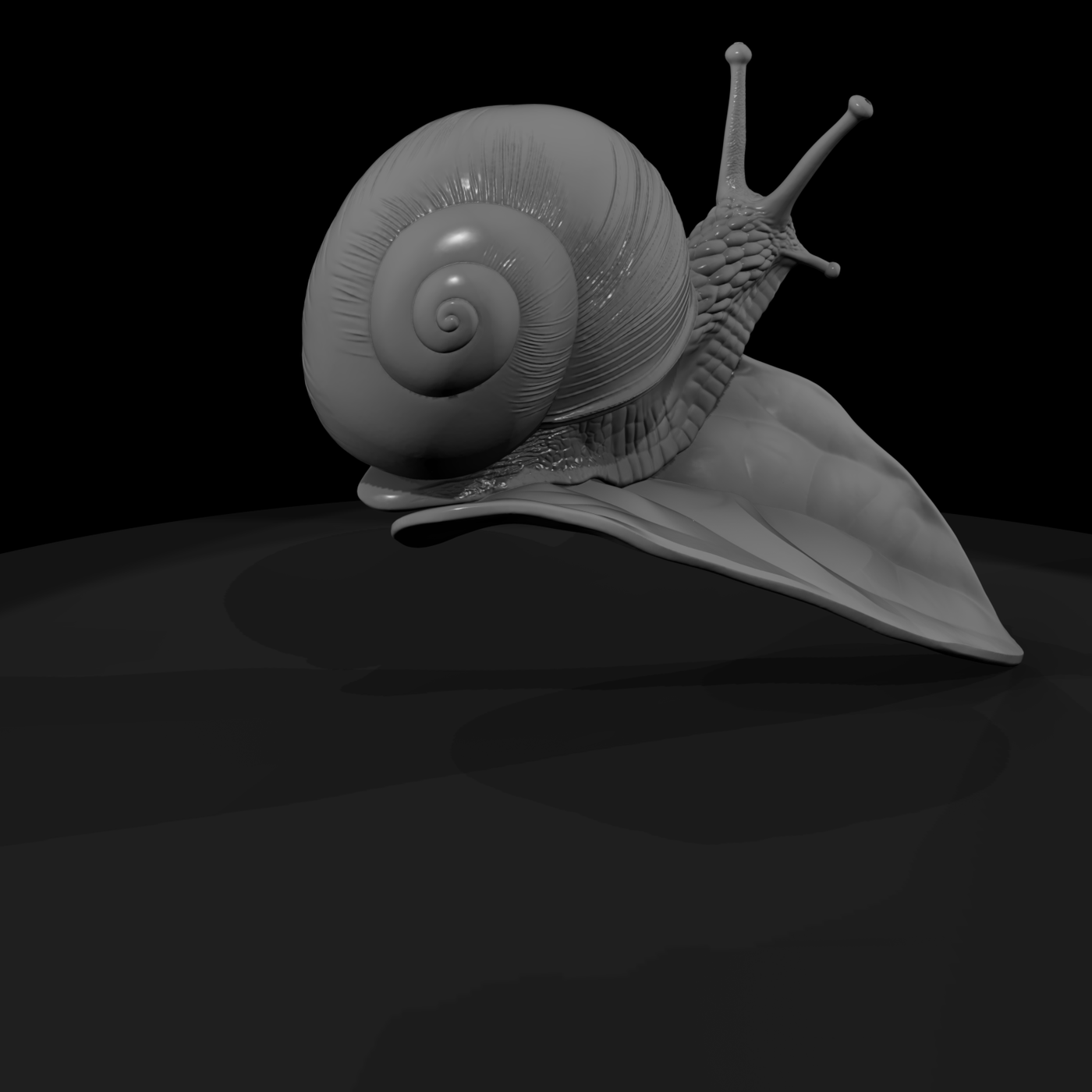 Garden Snail & Railway Layout