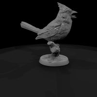ant-103-northern-cardinal-male — thumbnail 3
