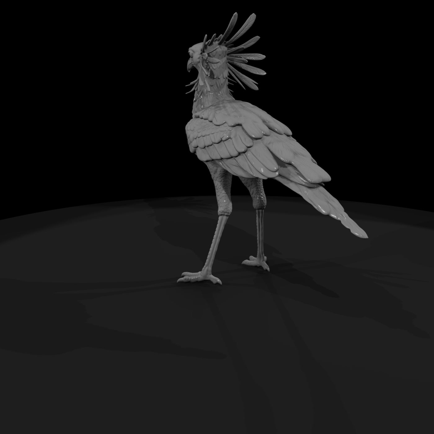 ant-293-secretary-bird-female