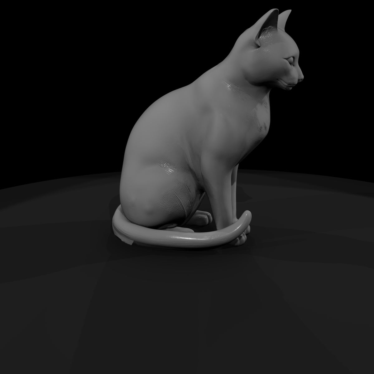 stylized_3d_sitting_house_cat_rx7729zn