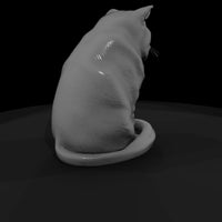 a-collection-of-housecats-exotic-b24ed562-meshref — thumbnail 3