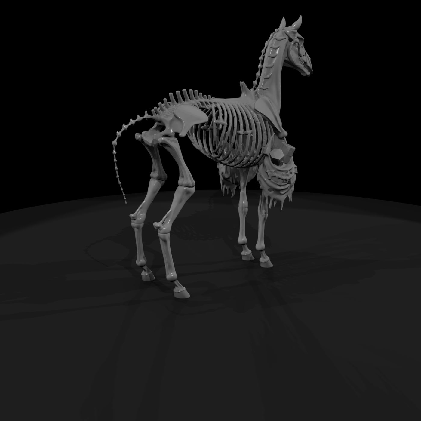 skeleton-horse