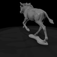 ant-228-blue-wildebeest-adolescent — thumbnail 3